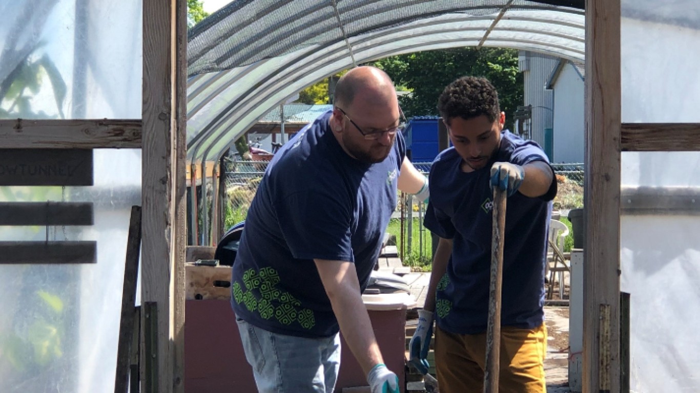 people working in a greenhouse