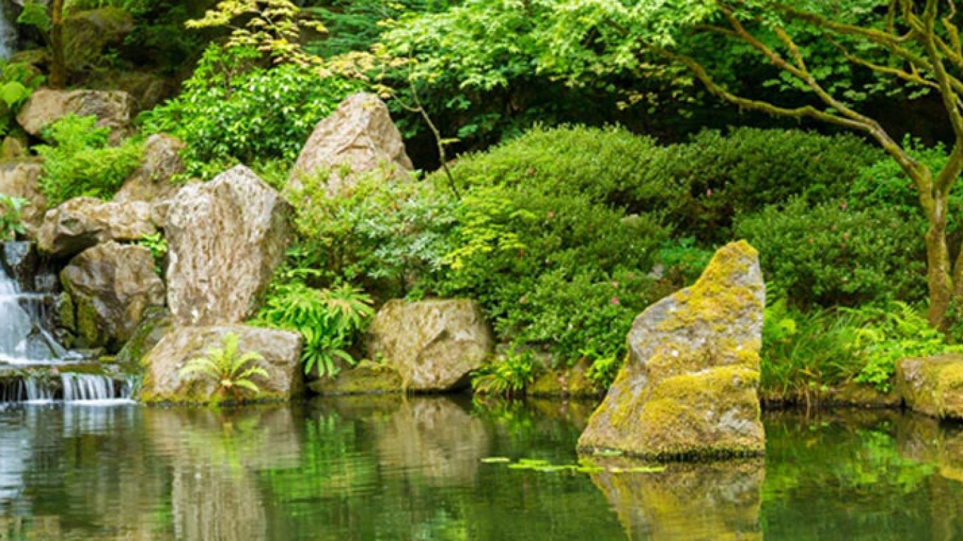 Image of Japanese pond with waterfall