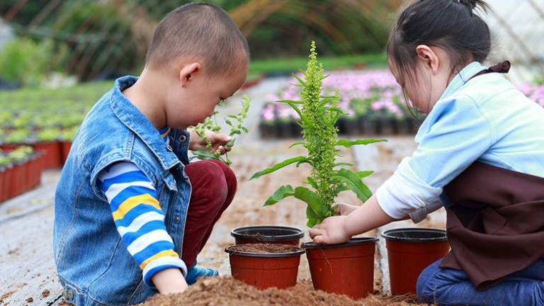 Two kids planting