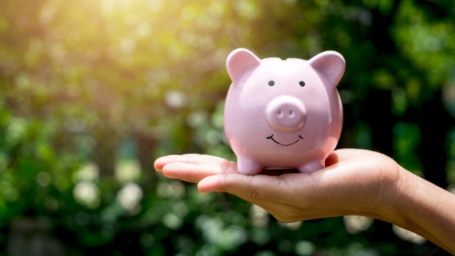 Pink porcelain piggy bank resting on person’s hand with forest backdrop.