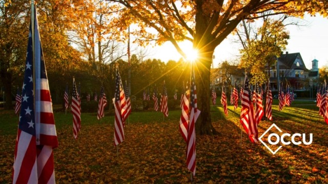 American flags on display in autumn for Veterans Day