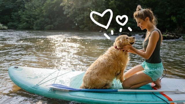 Paddleboarder with dog and doodles