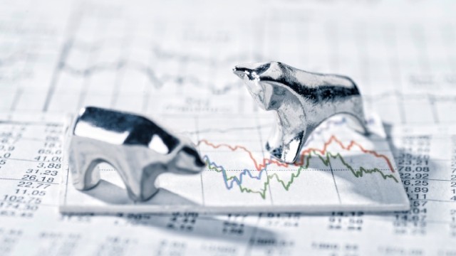 bear and bull