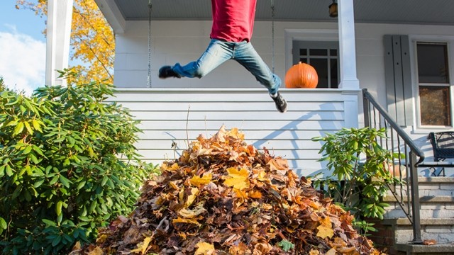 Person jumping into leaves in front of house