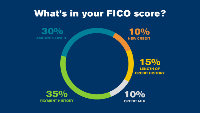 Graph of what's in your FICO score