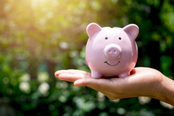 Pink porcelain piggy bank resting on person’s hand with forest backdrop.