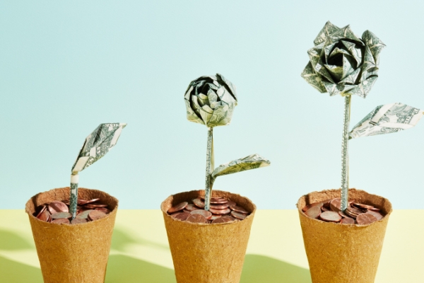  Three pots of pennies with folded dollar bills as rose plants growing into full bloom. 