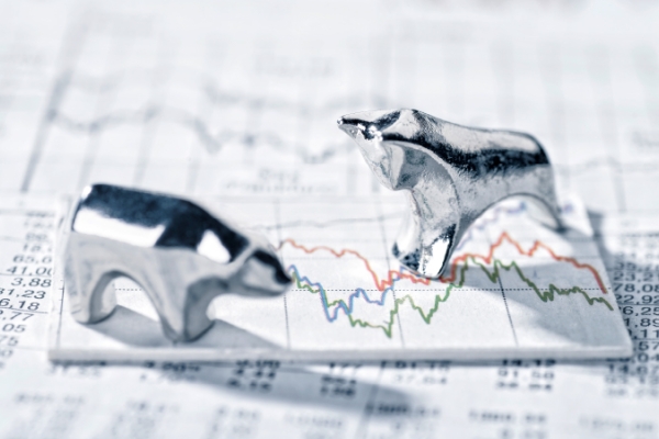 bear and bull