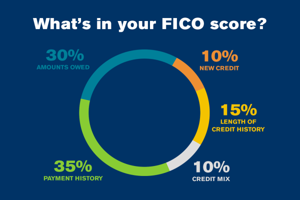 Graph of what's in your FICO score