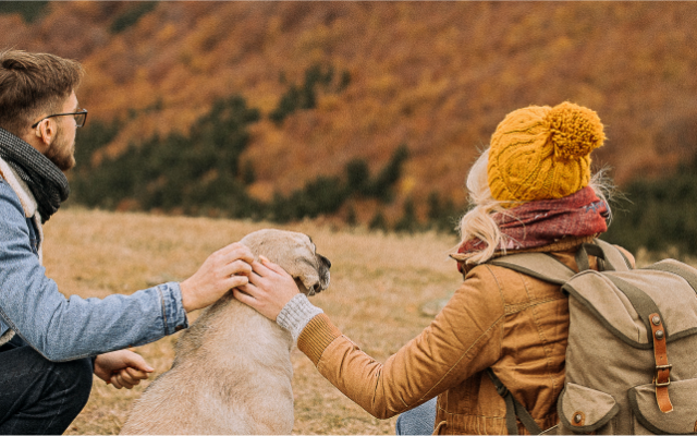 Two people on a hike with their dog